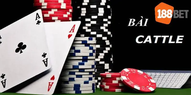 Tổng quan game bài catte 188bet độc đáo và thú vị